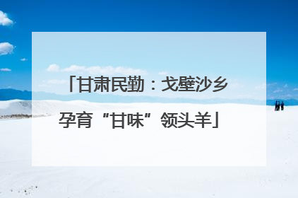 甘肃民勤：戈壁沙乡孕育“甘味”领头羊